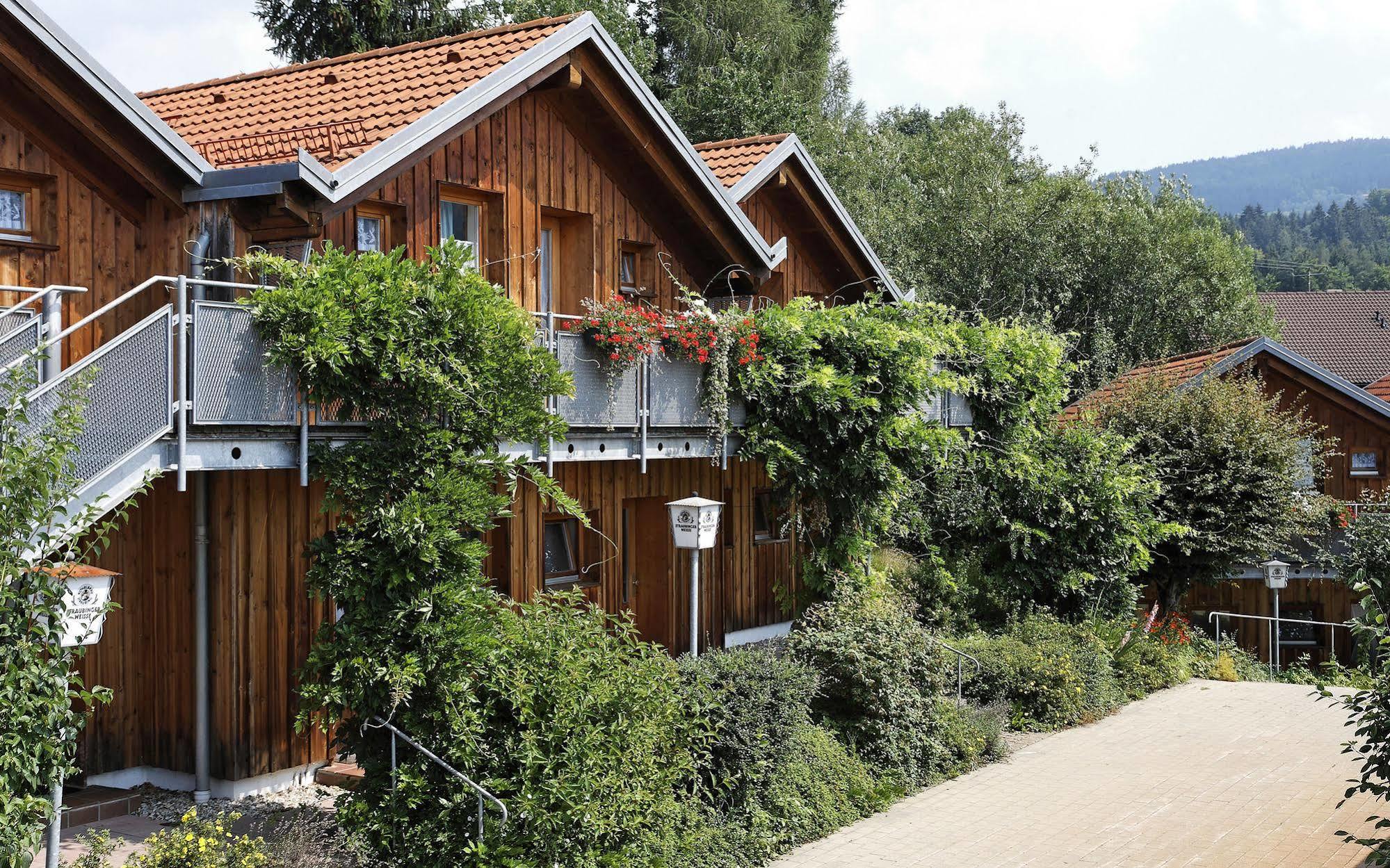 Village Hotel Bayerischer Wald ノイキルヒェン エクステリア 写真